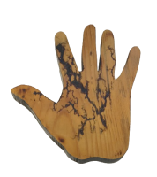 Fractal Burned Wood Hand
